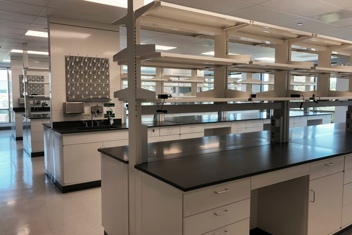 lab